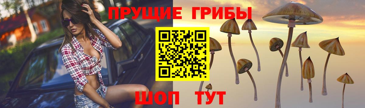 Мытищи  Галлюциногенные грибы прущие грибы  Вход с VPN 